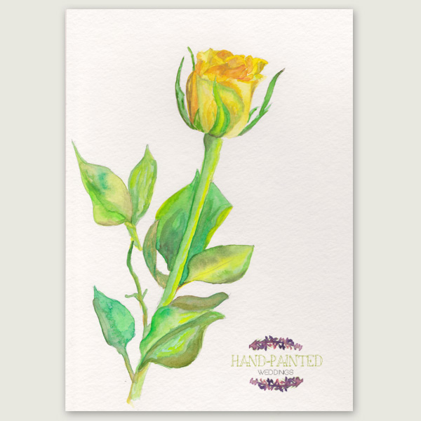 600x600 Yellow Rose