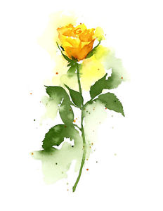 232x300 Yellow Rose Floral Watercolor Painting 11 X 14 Art Print By Artist