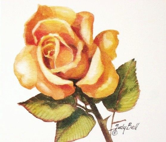 557x478 Yellow Rose Watercolor Painting Art Print Art Inspiration