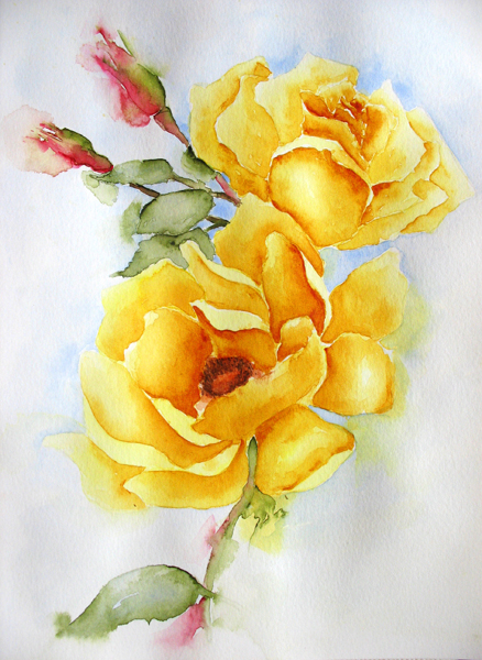438x600 Yellow Roses
