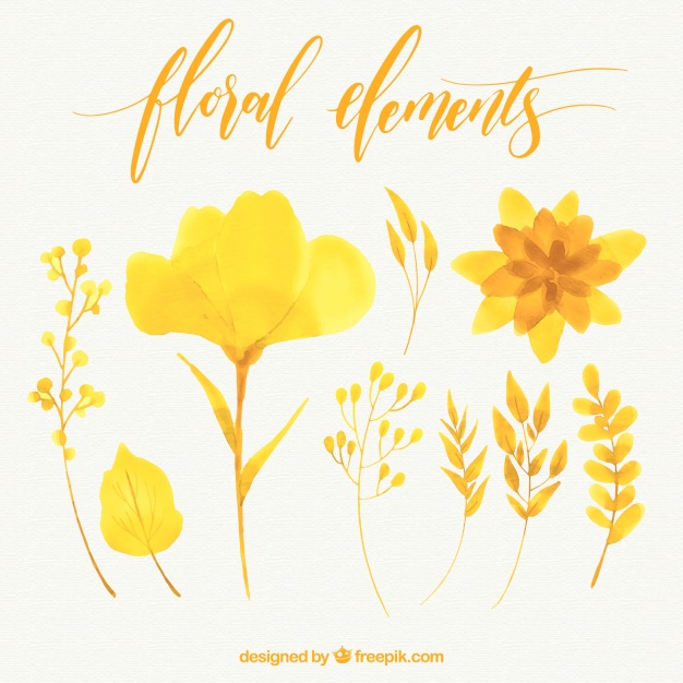 626x626 Pack Of Yellow Watercolor Flowers Vector Free Download