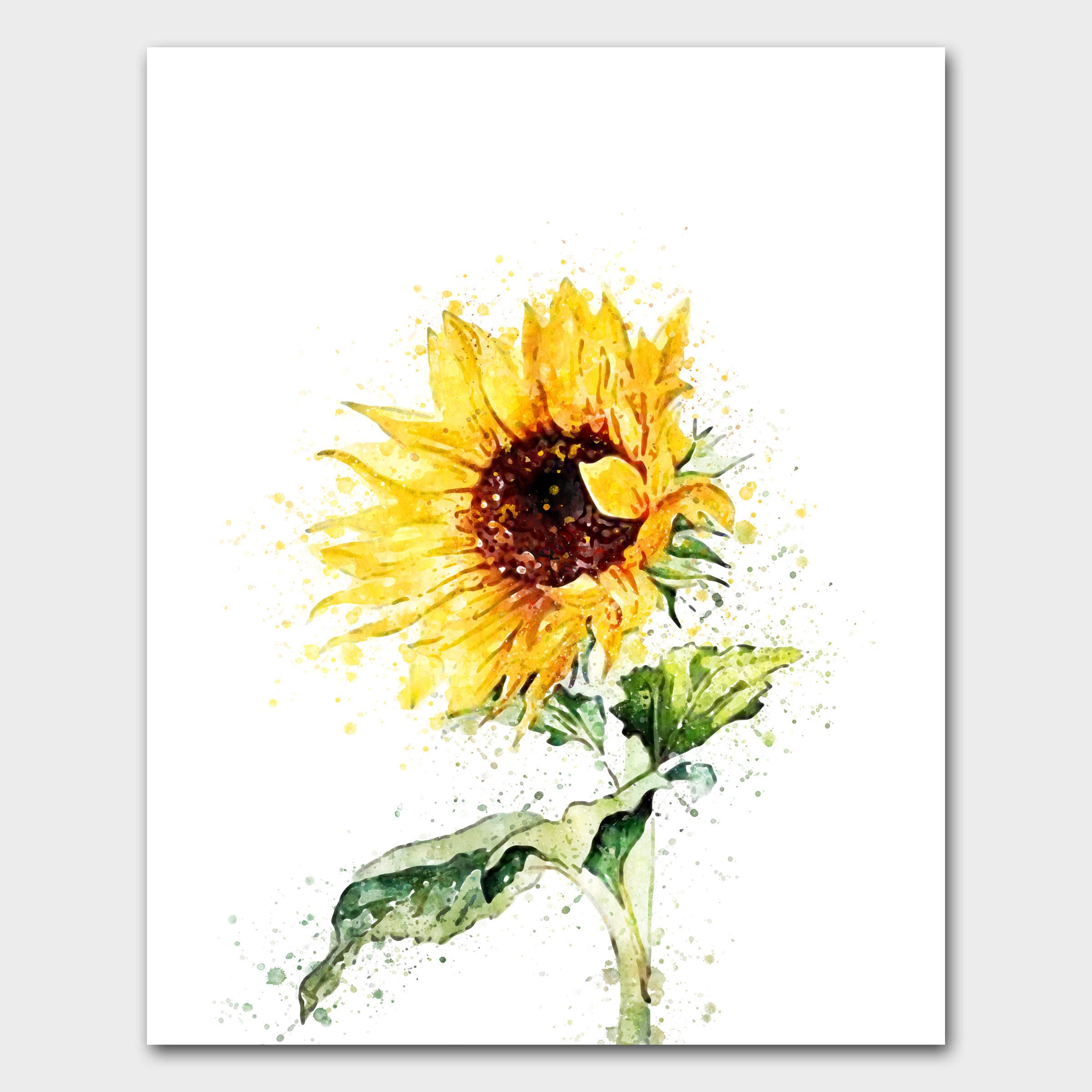 2400x2400 Watercolor Flowers, Spring Flowers, Hand Drawn Flowers, Sunflower