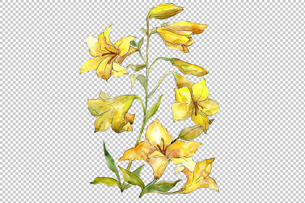 1200x800 Bouquet Of Yellow Lilies Png Watercolor Flower Set