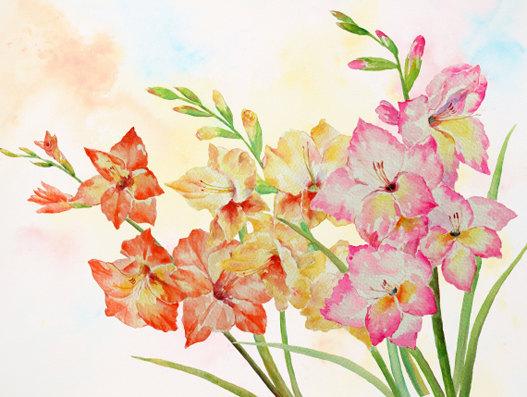 527x397 Watercolour Flowers White, Yellow, Pink, Purple Gladiolus