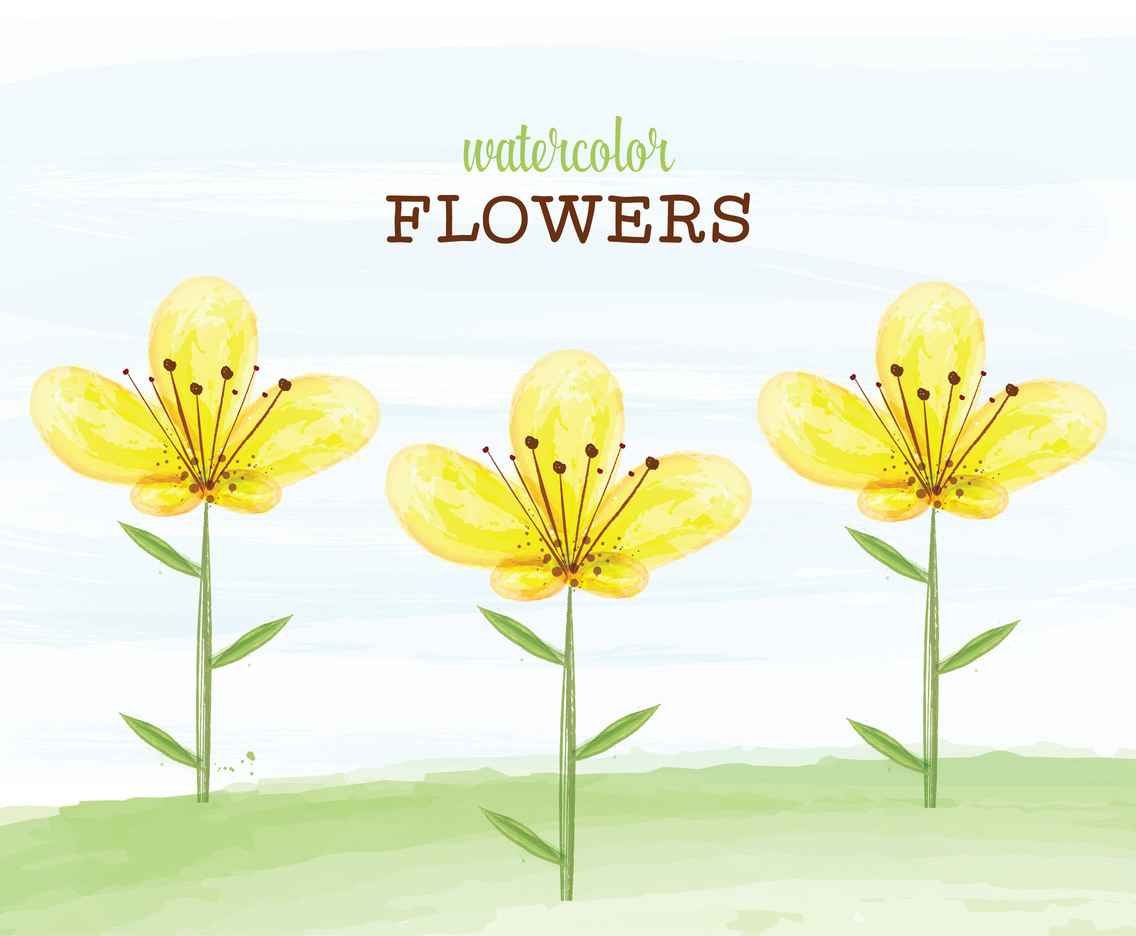 1136x936 Yellow Watercolor Flowers Vector Vector Art Amp Graphics