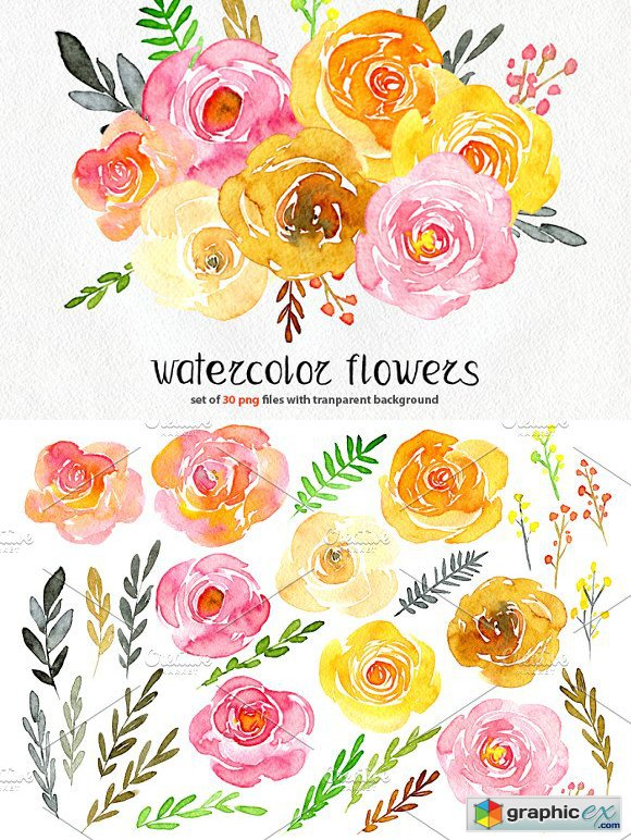 580x772 Yellow Amp Pink Watercolor Flowers Free Download Vector Stock