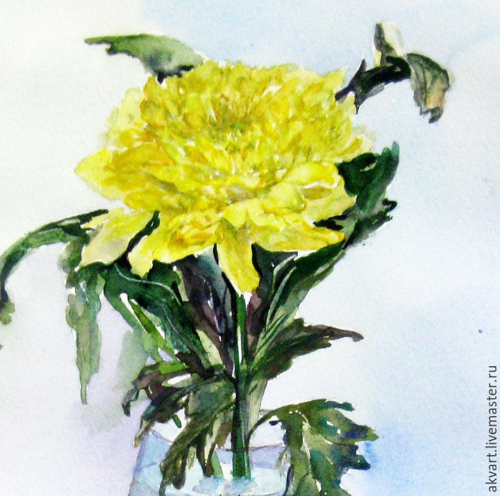 720x714 Watercolor. Flowers. Chrysanthemum Yellow Shop Online On