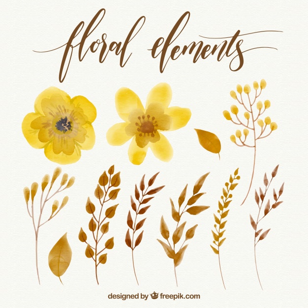 626x626 Collection Of Yellow Watercolor Flowers Vector Free Download