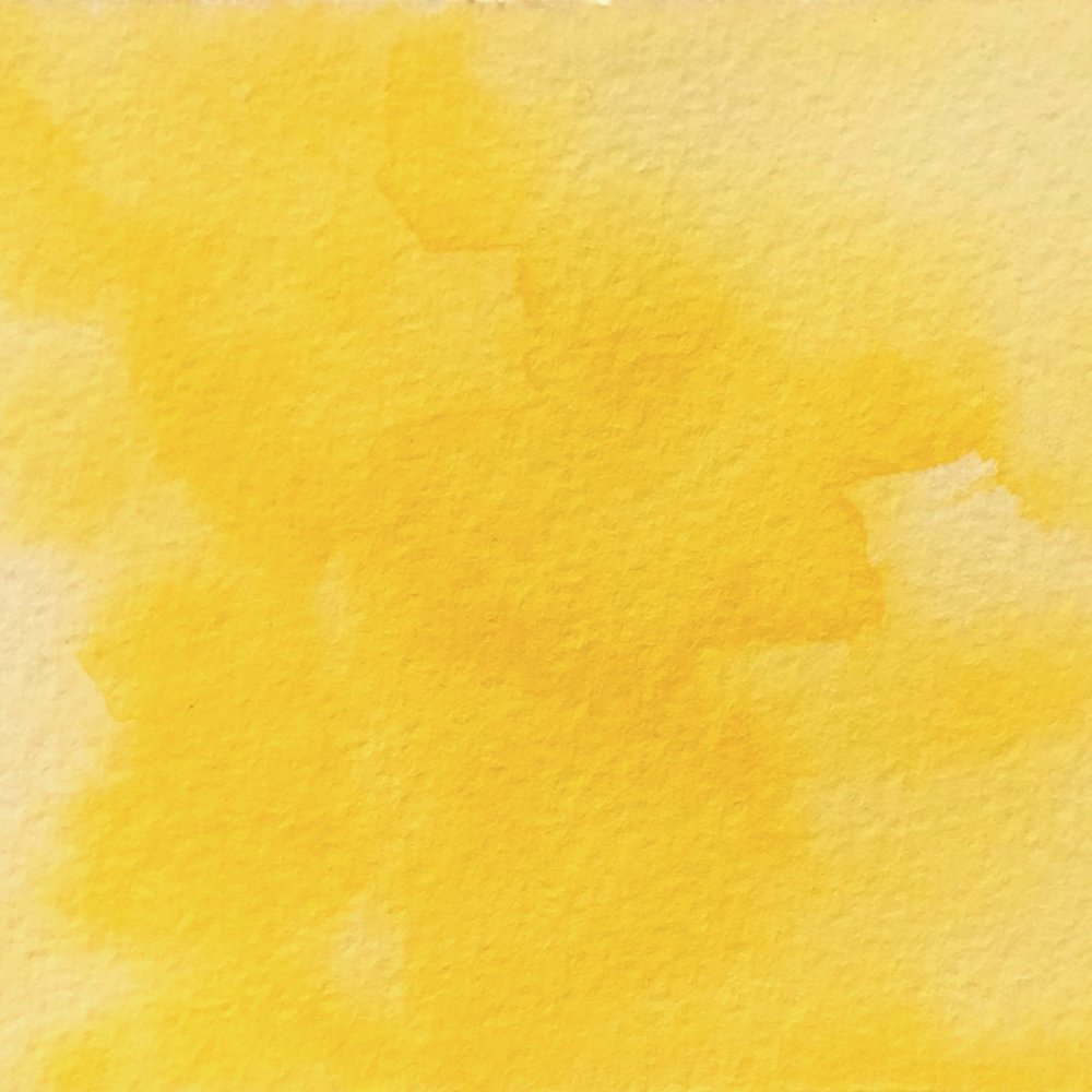1000x1000 Benzimida Yellow Watercolor Paint (Half Pan) Limn Colors