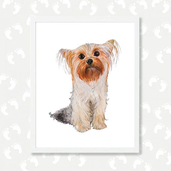 570x570 Yorkie Dog Art Print Yorkshire Terrier Nursery Printable Art Dog