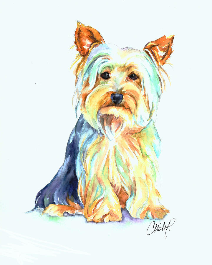 720x900 Yorkie Dog Portrait Painting By Christy Freeman