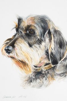 236x354 Yorkie Print, Yorkie Watercolor, Yorkshire Terrier Art, Yorkie