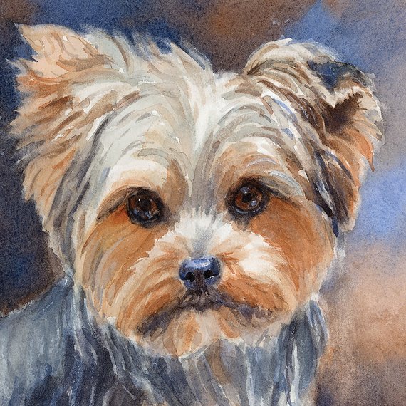 570x570 Yorkie Printyorkie Watercoloryorkshire Terrier Artyorkie