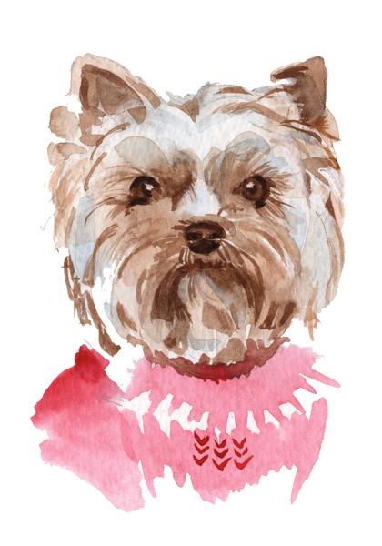 420x600 Adorable Watercolor Yorkie Puppy Dog In Pink Sweater