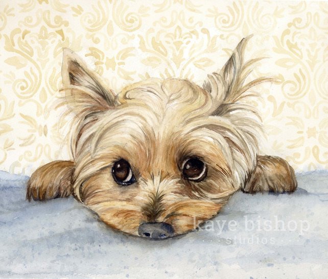 642x547 Yorkie Watercolor Painting Animal Art Yorkie Painting Etsy