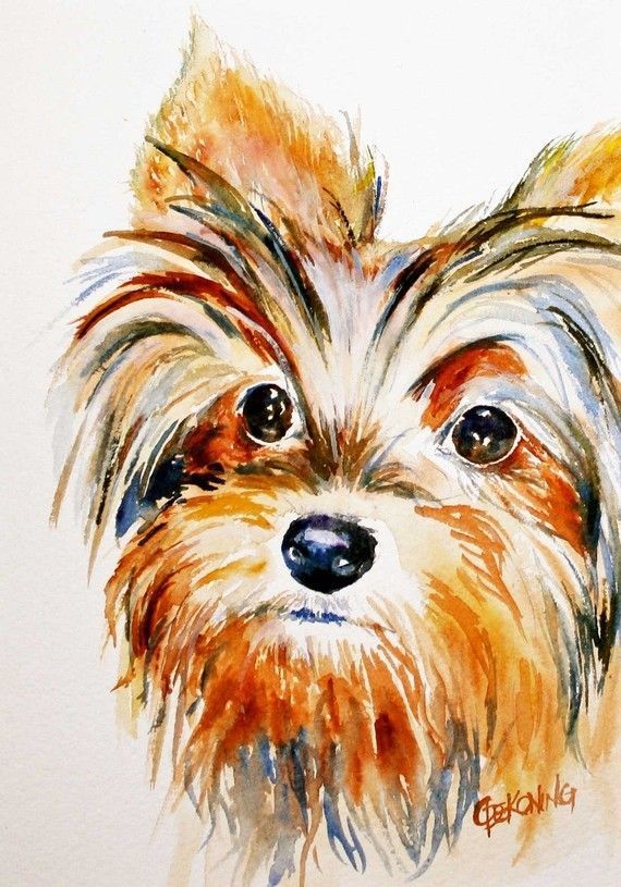 570x815 Yorkie Watercolor Yorkie Lovers In 2018 Watercolor