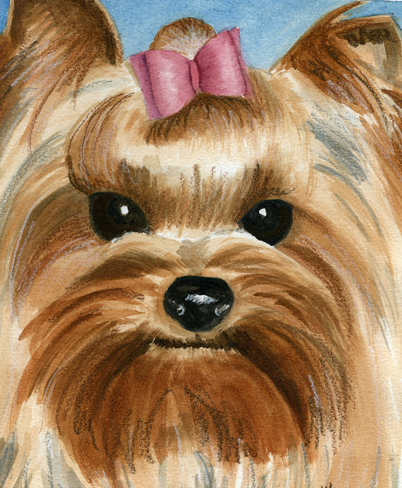 570x691 Yorkie Watercolor Painting Custom Pet Portrait Products