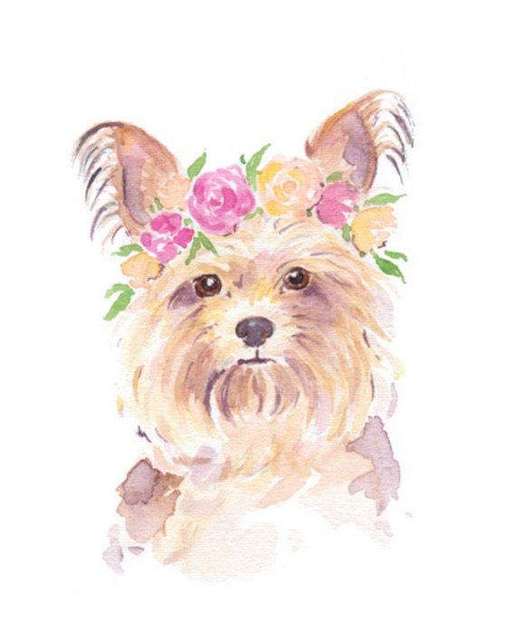570x708 Yorkie Watercolor Yorkie Printable Dog Art Print Yorkie Etsy