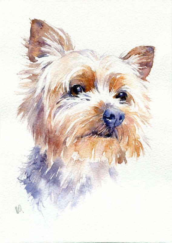 568x800 Original Watercolour Pet Painting