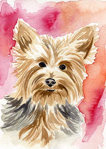 354x500 Yorkie Dog Watercolor Painting Size 5 X 7 Handmade