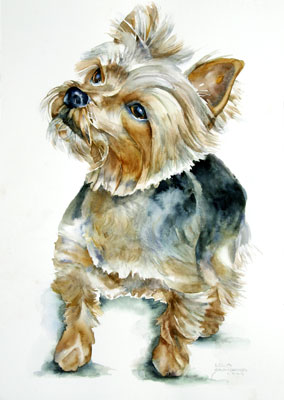 284x400 Pet Portraits In Watercolor