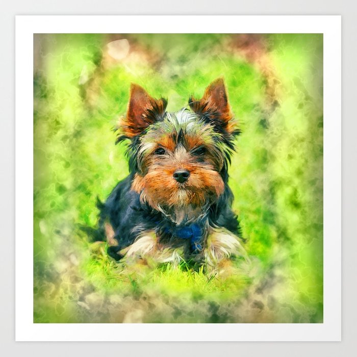 700x700 Watercolor Art Yorkshire Terrier Art Print By K9printart Society6