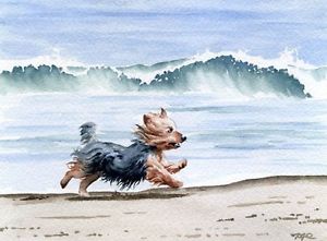 300x221 Yorkshire Terrier Dog Watercolor Oversize Art Print Djr Ebay