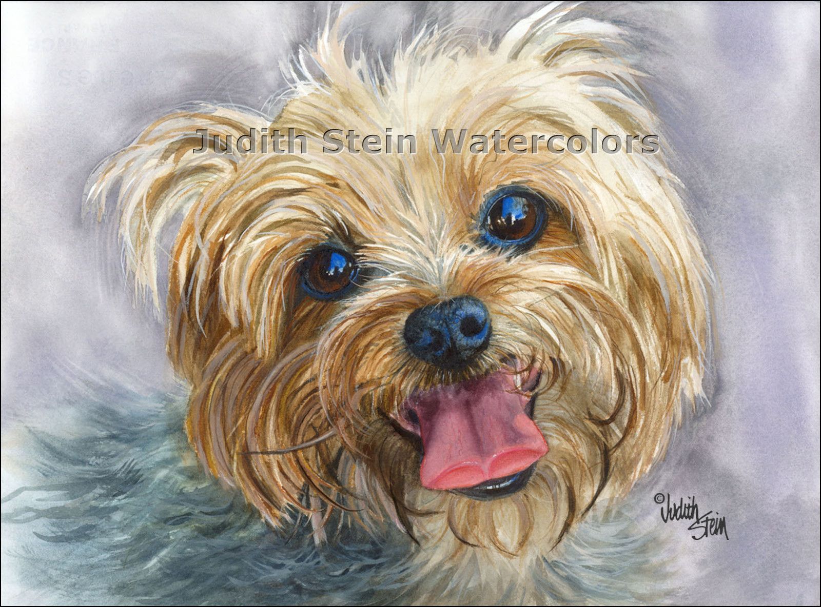 1600x1184 Yorkshire Terrier Dog Art 11 X 15 Original Watercolor Painting By