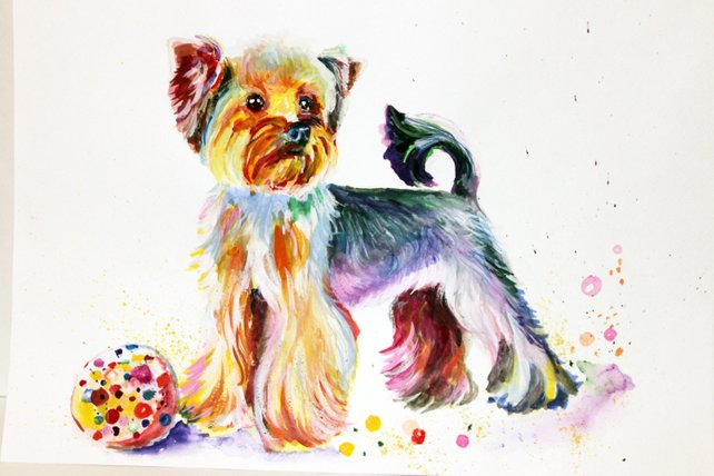 642x428 Yorkshire Terrier Dog Watercolor Painting Art Print On Canvas Etsy