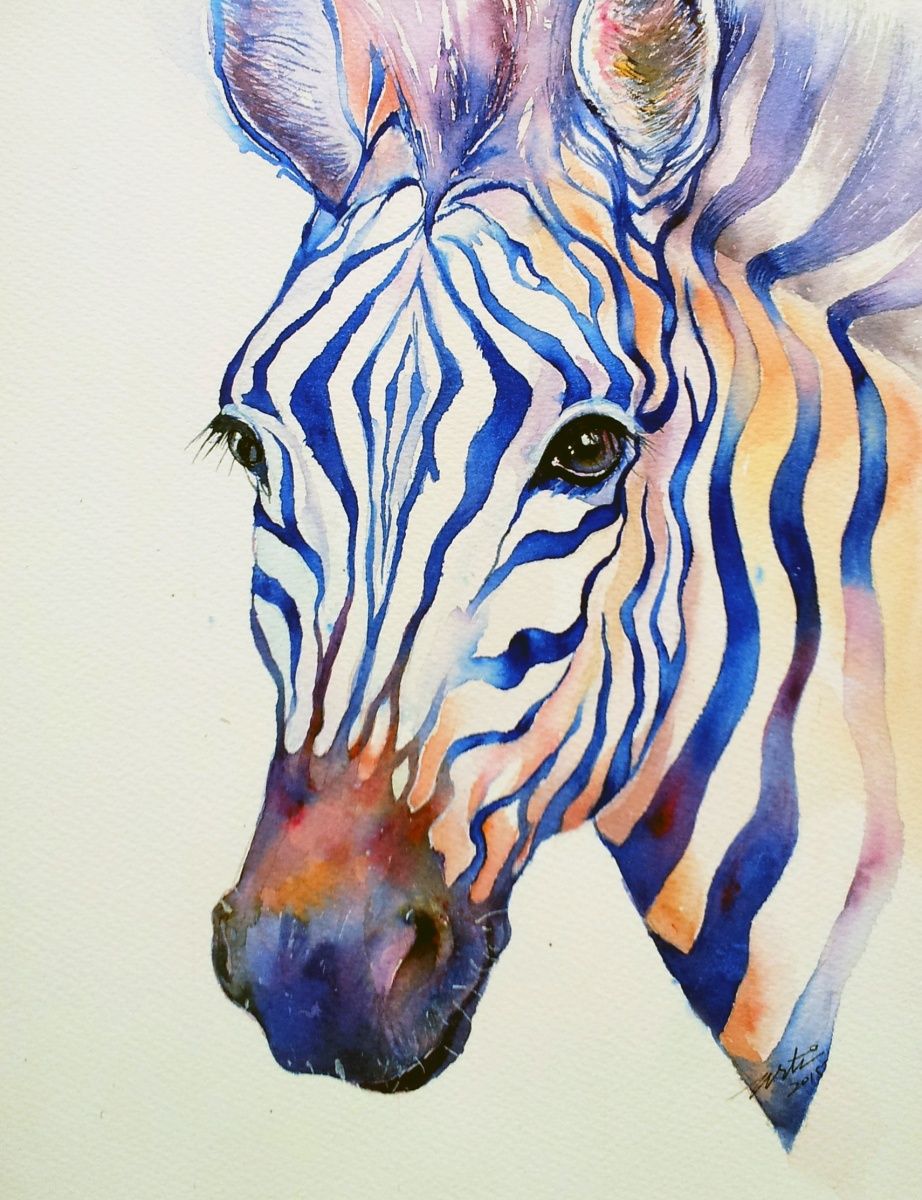 922x1200 Intense Zebra Art, Drawings Amp Illustrations