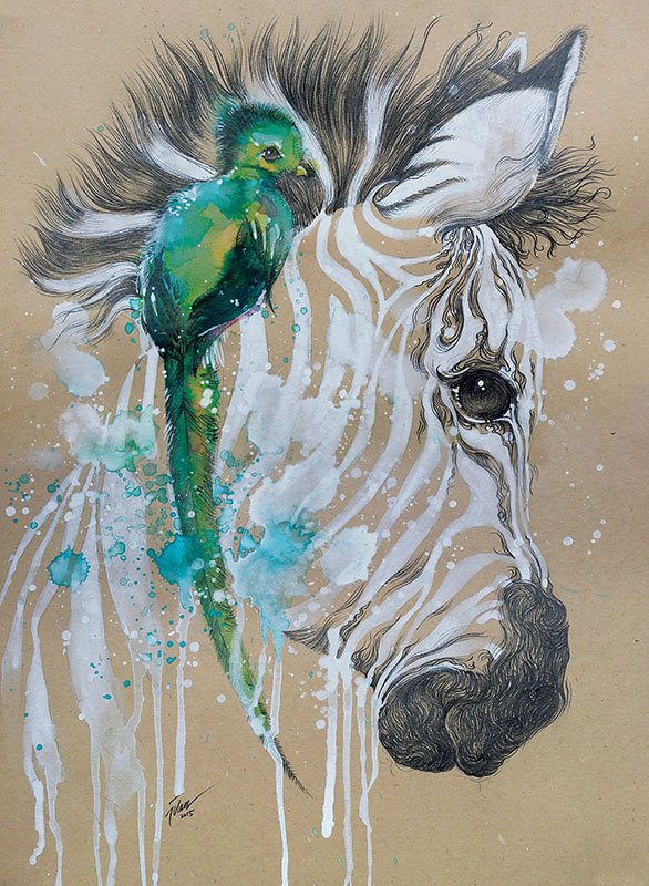 586x800 Quetzal And Zebra Watercolor With Gouache Painting A3 Art