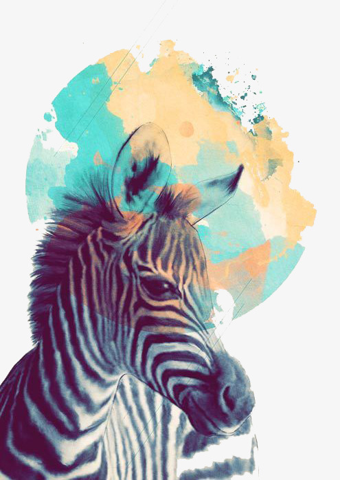 495x698 Watercolor Zebra, Watercolor Clipart, Zebra Clipart, Zebra Png