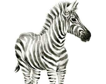 340x270 Zebra Watercolor Baby Animal Art Print Whimsical Animal Etsy