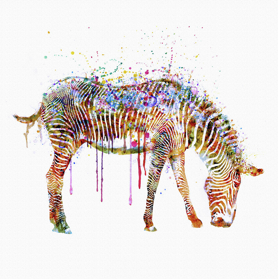 899x900 Zebra Watercolor Painting Painting By Marian Voicu