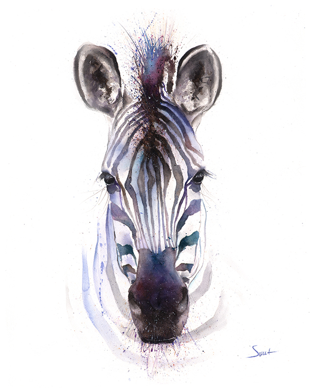 640x800 Zebra Watercolor Print 2 Watercolor Animal Paintings