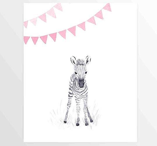 538x500 Pink, Baby Girl, Zebra, Baby Zebra, Watercolor