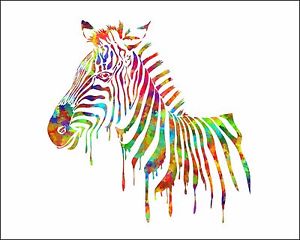 300x240 Zebra Watercolor Print Multi Color Art Picture Silhouette Painting