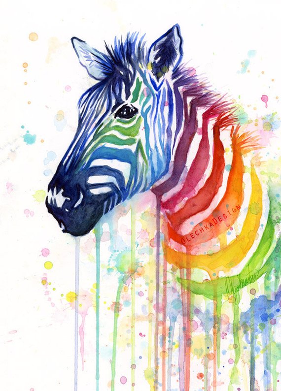 570x794 Zebra Watercolor Rainbow Painting Print Zebra Art Etsy