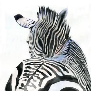 299x300 Giclee Print Zebra Africa Wildlife Zoo Painting Art Watercolor