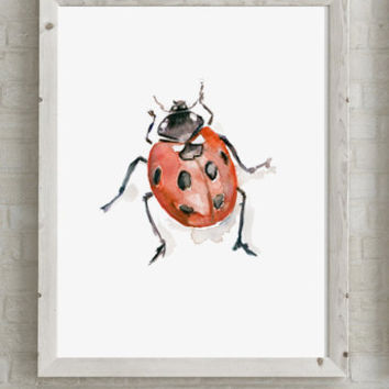 354x354 Watercolor Painting Of A Ladybug