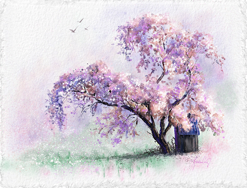 800x609 Kathleen Casey